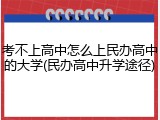 考不上高中怎么上民办高中的大学(民办高中升学途径)