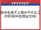 初中生考不上高中干什么工作好(初中生择业方向)
