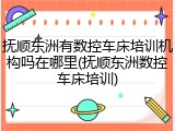 抚顺东洲有数控车床培训机构吗在哪里(抚顺东洲数控车床培训)