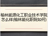 榆林能源化工职业技术学院怎么样(榆林能化职院如何)
