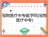宠物医疗中专能学吗(宠物医疗中专)