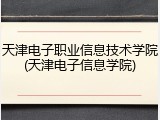 天津电子职业信息技术学院(天津电子信息学院)