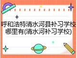 呼和浩特清水河县补习学校哪里有(清水河补习学校)