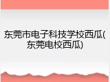 东莞市电子科技学校西瓜(东莞电校西瓜)
