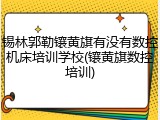 锡林郭勒镶黄旗有没有数控机床培训学校(镶黄旗数控培训)