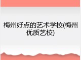 梅州好点的艺术学校(梅州优质艺校)