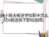 送小孩去叛逆学校职中怎么办(叛逆孩子职校选择)