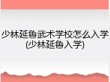 少林延鲁武术学校怎么入学(少林延鲁入学)