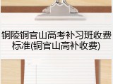 铜陵铜官山高考补习班收费标准(铜官山高补收费)