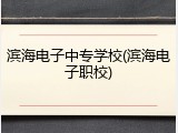 滨海电子中专学校(滨海电子职校)
