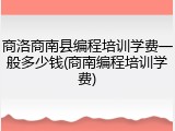 商洛商南县编程培训学费一般多少钱(商南编程培训学费)