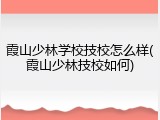 霞山少林学校技校怎么样(霞山少林技校如何)