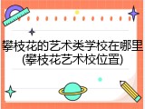攀枝花的艺术类学校在哪里(攀枝花艺术校位置)
