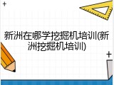 新洲在哪学挖掘机培训(新洲挖掘机培训)