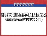 聊城高级财经学校技校怎么样(聊城高财技校如何)