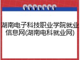 湖南电子科技职业学院就业信息网(湖南电科就业网)