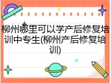 柳州哪里可以学产后修复培训中专生(柳州产后修复培训)