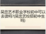 吴忠艺术职业学校初中可以去读吗?(吴忠艺校招初中生吗)