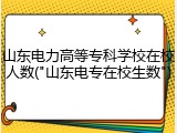 山东电力高等专科学校在校人数("山东电专在校生数")