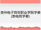 贵州电子商务职业学院学费(贵电商学费)