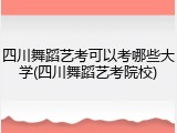 四川舞蹈艺考可以考哪些大学(四川舞蹈艺考院校)