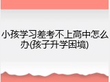 小孩学习差考不上高中怎么办(孩子升学困境)