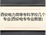 西安电力高等专科学校几个专业(西安电专专业数量)
