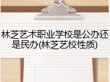 林芝艺术职业学校是公办还是民办(林芝艺校性质)