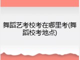 舞蹈艺考校考在哪里考(舞蹈校考地点)