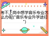 考不上高中想学音乐专业怎么办呢("音乐专业升学途径")