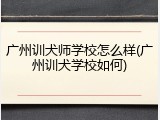 广州训犬师学校怎么样(广州训犬学校如何)