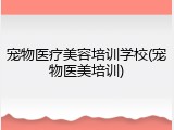 宠物医疗美容培训学校(宠物医美培训)