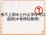 考不上高中上什么学校可以选择(中考择校推荐)
