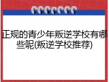 正规的青少年叛逆学校有哪些呢(叛逆学校推荐)