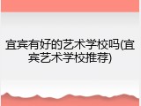 宜宾有好的艺术学校吗(宜宾艺术学校推荐)