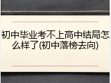 初中毕业考不上高中结局怎么样了(初中落榜去向)