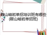 鞍山岫岩单招培训班有哪些(鞍山岫岩单招班)