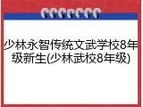 少林永智传统文武学校8年级新生(少林武校8年级)