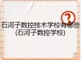 石河子数控技术学校有哪些(石河子数控学校)