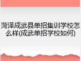 菏泽成武县单招集训学校怎么样(成武单招学校如何)