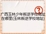 广西玉林少年叛逆学校地址在哪里(玉林叛逆学校地址)
