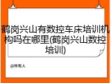 鹤岗兴山有数控车床培训机构吗在哪里(鹤岗兴山数控培训)