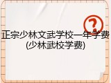 正宗少林文武学校一年学费(少林武校学费)
