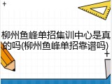 柳州鱼峰单招集训中心是真的吗(柳州鱼峰单招靠谱吗)