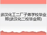 武汉化工二厂子弟学校毕业照(武汉化二校毕业照)