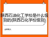 陕西石油化工学校是什么级别的(陕西石化学校级别)