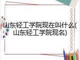 山东轻工学院现在叫什么(山东轻工学院现名)