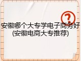 安徽哪个大专学电子商务好(安徽电商大专推荐)
