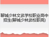 聊城少林文武学校职业高中招生(聊城少林武校职高)