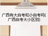 广西有大自考和小自考吗(广西自考大小区别)